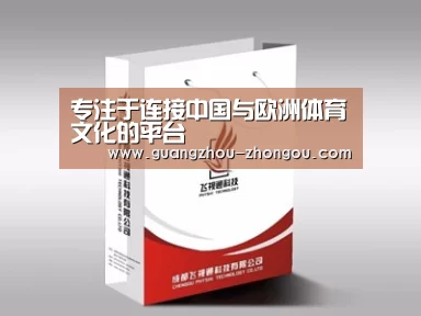 项目名称十三