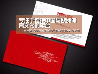 项目名称一