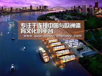 案例展示八